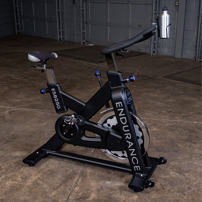 Body-Solid Endurance Indoor Exercise Bike