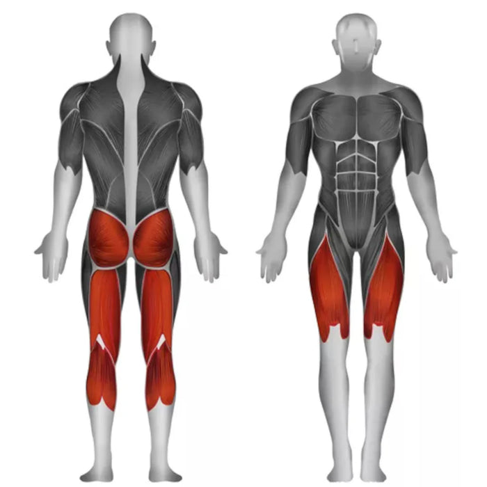 Steelflex PLSS Plate Loaded Standing Squat