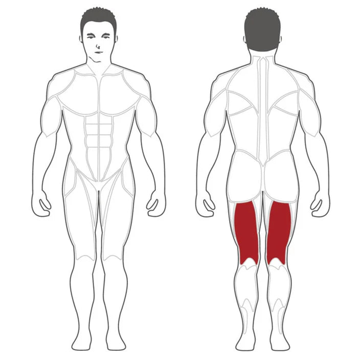 Steelflex PLLC Plate Loaded Leg Curl