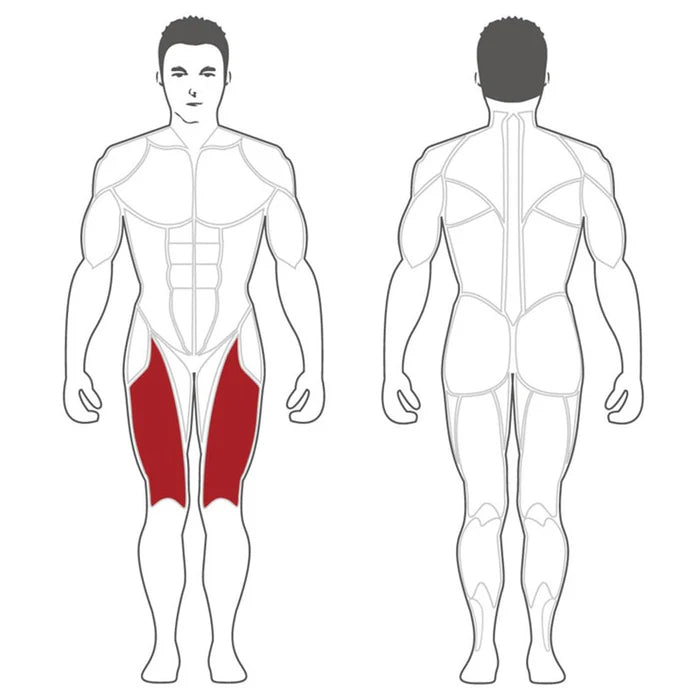 Steelflex PLLE  Plate Loaded Leg Extension